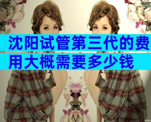 沈阳试管第三代的费用大概需要多少钱