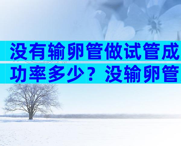 没有输卵管做试管成功率多少？没输卵管对身体的危害