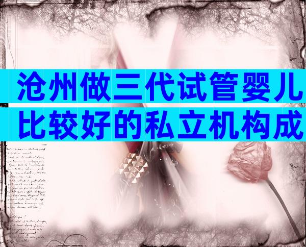 沧州做三代试管婴儿比较好的私立机构成功率怎么样？附上试管医院名单