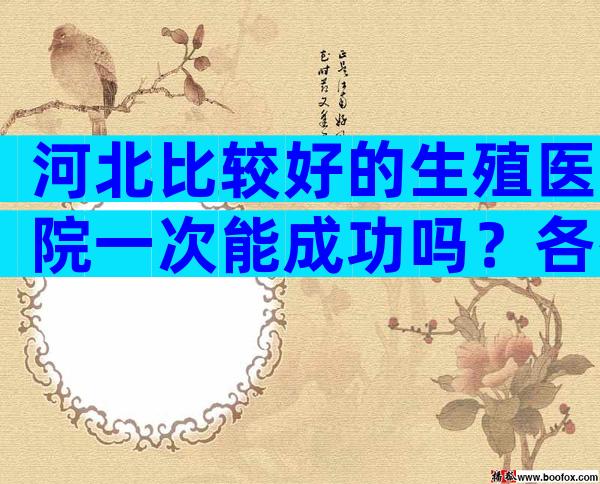 河北比较好的生殖医院一次能成功吗？各有所长价格也不一样