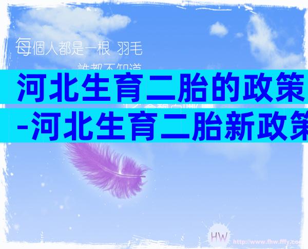 河北生育二胎的政策-河北生育二胎新政策
