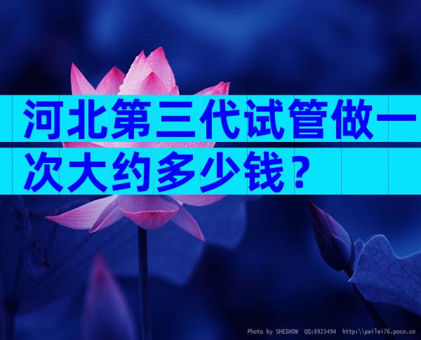 河北第三代试管做一次大约多少钱？