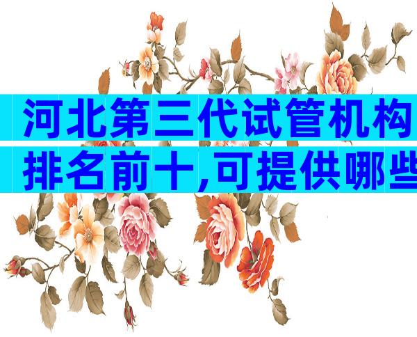 河北第三代试管机构排名前十,可提供哪些技术