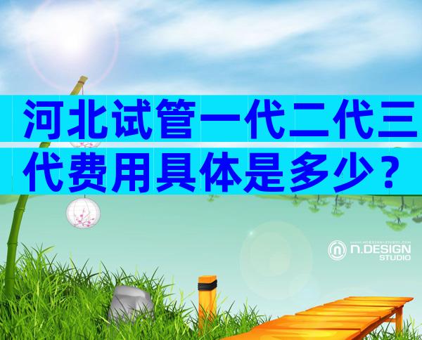 河北试管一代二代三代费用具体是多少？试管费用成功率如何？
