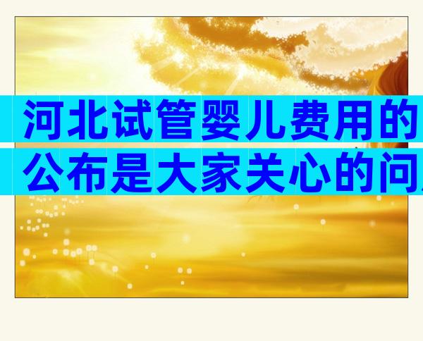 河北试管婴儿费用的公布是大家关心的问题。