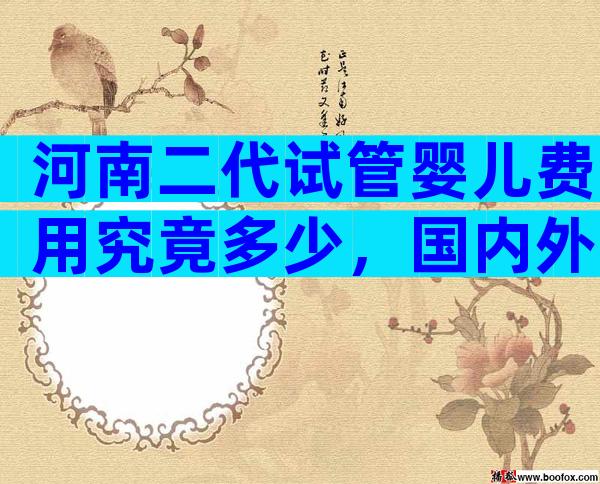 河南二代试管婴儿费用究竟多少，国内外费用一览！