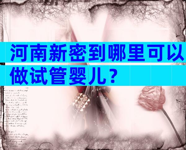 河南新密到哪里可以做试管婴儿？