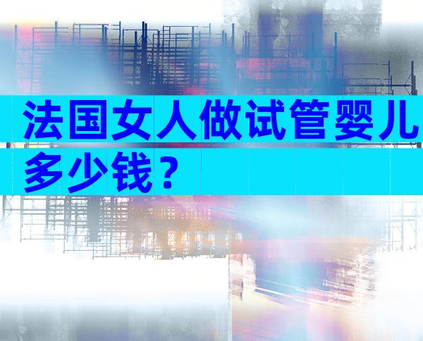 法国女人做试管婴儿多少钱？