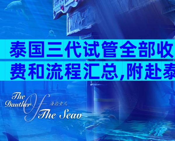 泰国三代试管全部收费和流程汇总,附赴泰真实经历过程
