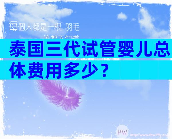 泰国三代试管婴儿总体费用多少？