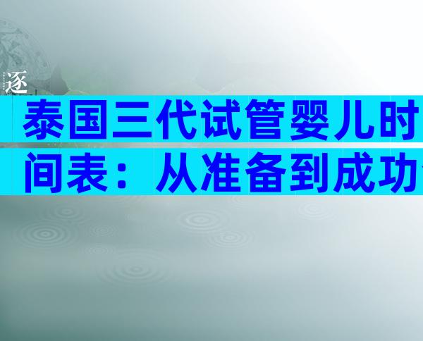 泰国三代试管婴儿时间表：从准备到成功全程揭秘！