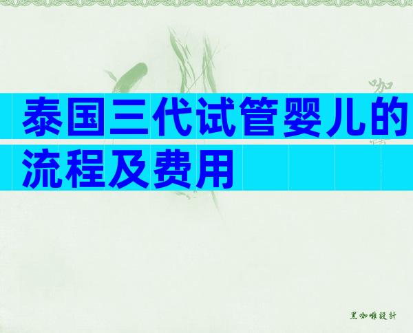 泰国三代试管婴儿的流程及费用