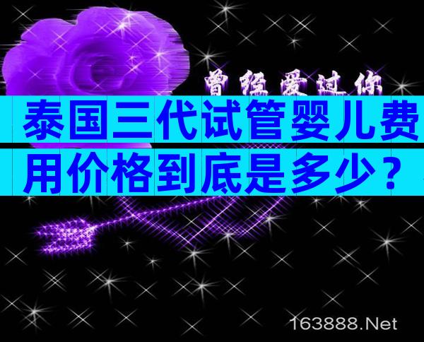 泰国三代试管婴儿费用价格到底是多少？泰国试管费用详解
