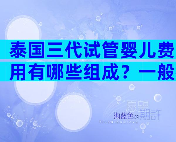 泰国三代试管婴儿费用有哪些组成？一般都是四个方面