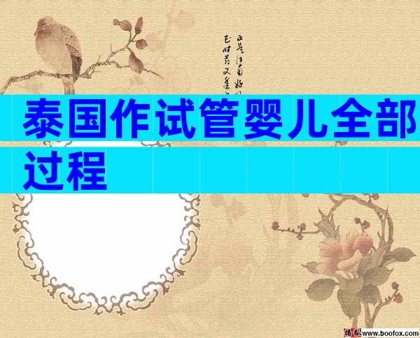 泰国作试管婴儿全部过程