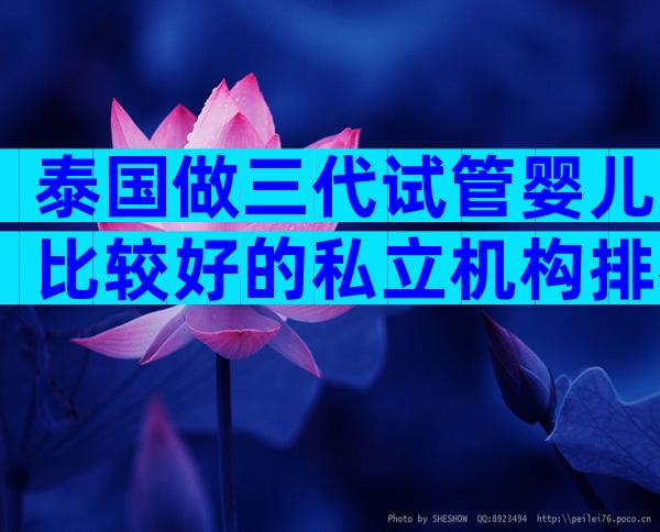 泰国做三代试管婴儿比较好的私立机构排名哪家好？
