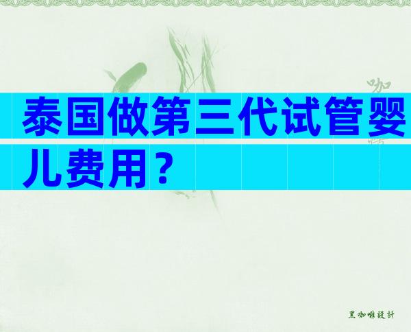 泰国做第三代试管婴儿费用？