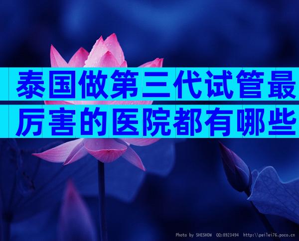 泰国做第三代试管最厉害的医院都有哪些？快来收藏这份榜单