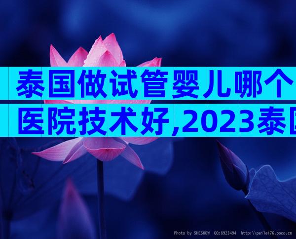 泰国做试管婴儿哪个医院技术好,2023泰国十大试管医院名单汇总