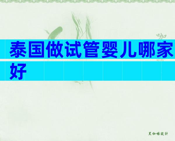 泰国做试管婴儿哪家好