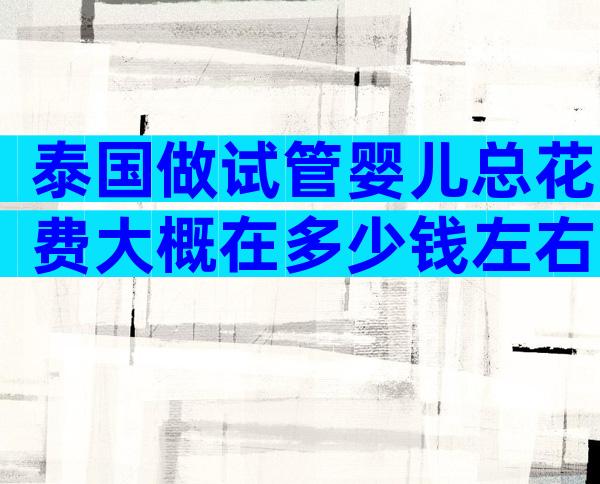泰国做试管婴儿总花费大概在多少钱左右？
