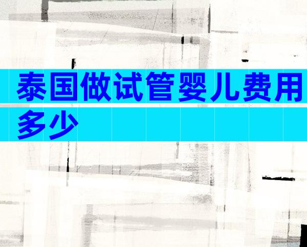 泰国做试管婴儿费用多少