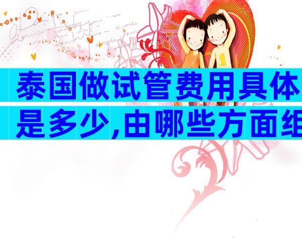泰国做试管费用具体是多少,由哪些方面组成