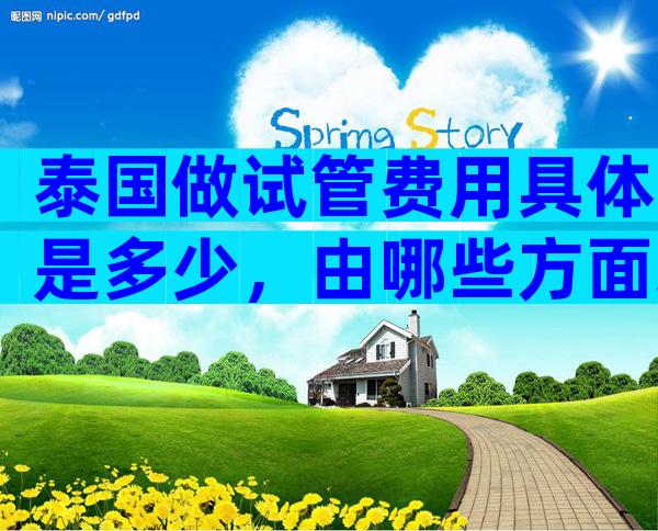 泰国做试管费用具体是多少，由哪些方面组成