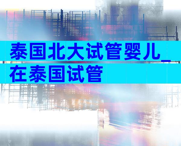 泰国北大试管婴儿_在泰国试管