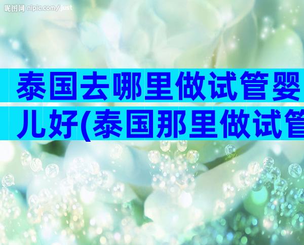 泰国去哪里做试管婴儿好(泰国那里做试管婴儿成功高)