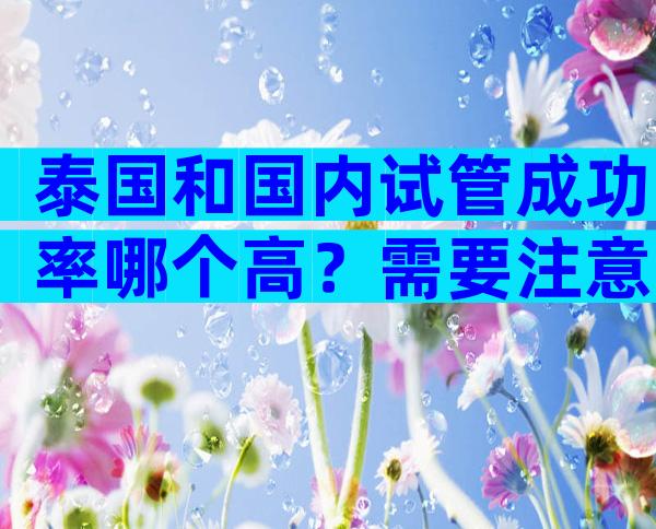 泰国和国内试管成功率哪个高？需要注意哪些事项？