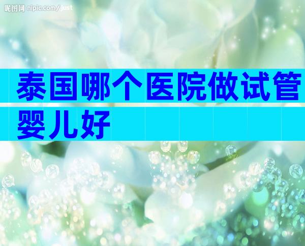 泰国哪个医院做试管婴儿好