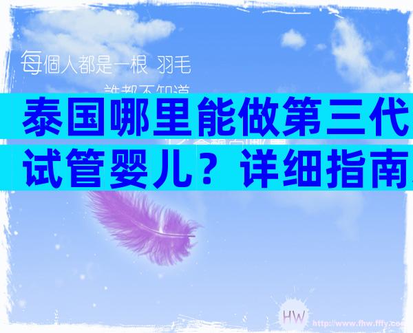 泰国哪里能做第三代试管婴儿？详细指南来袭！