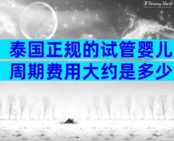 泰国正规的试管婴儿周期费用大约是多少？透明价格：