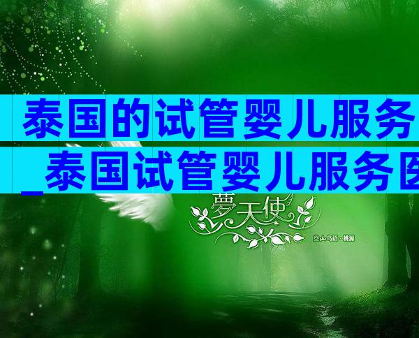 泰国的试管婴儿服务_泰国试管婴儿服务医院