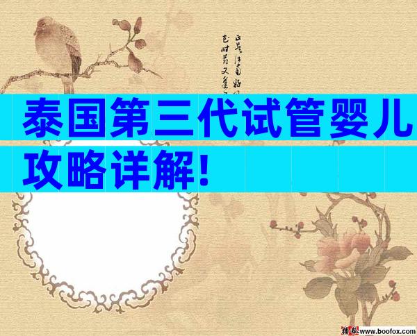 泰国第三代试管婴儿攻略详解!