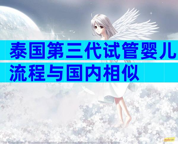 泰国第三代试管婴儿流程与国内相似