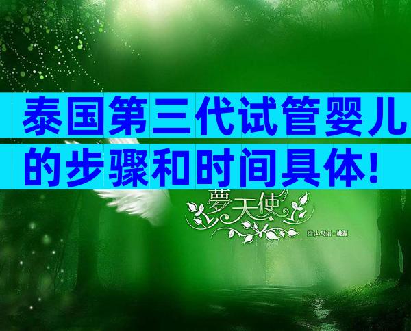 泰国第三代试管婴儿的步骤和时间具体!