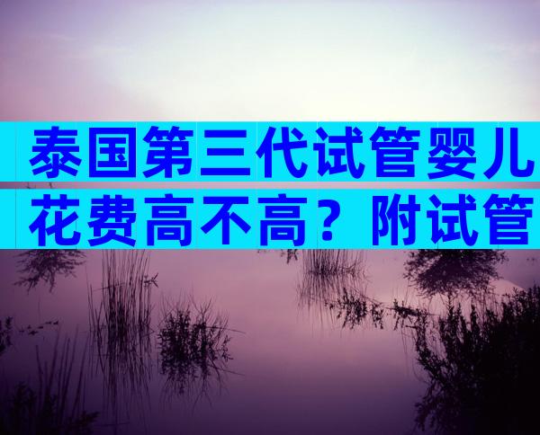 泰国第三代试管婴儿花费高不高？附试管婴儿费用明细？