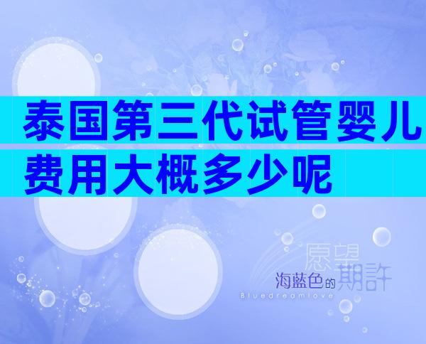 泰国第三代试管婴儿费用大概多少呢