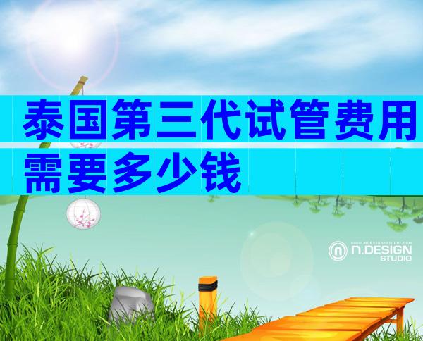 泰国第三代试管费用需要多少钱