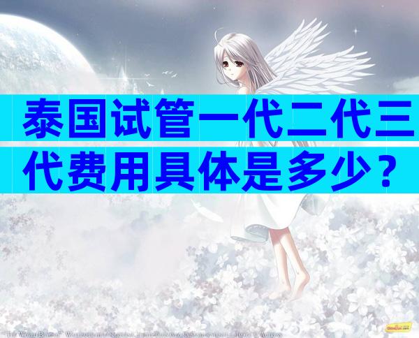 泰国试管一代二代三代费用具体是多少？三大有名气医院费用清单公布