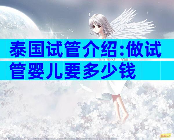 泰国试管介绍:做试管婴儿要多少钱