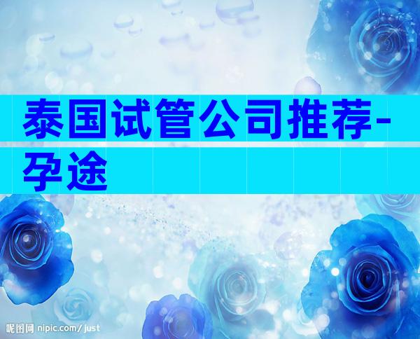 泰国试管公司推荐-孕途