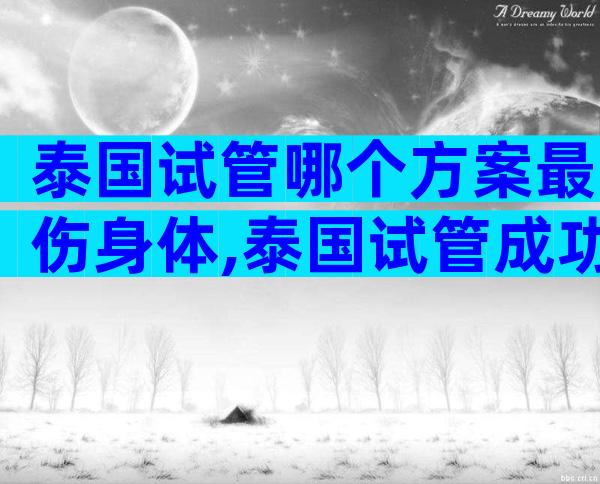 泰国试管哪个方案最伤身体,泰国试管成功率高吗怎么样
