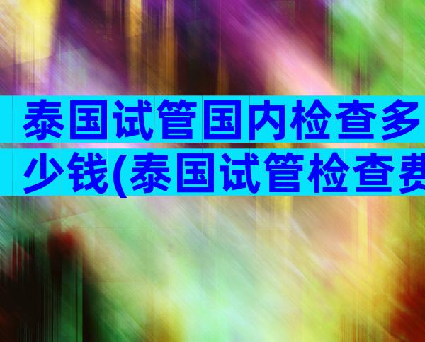 泰国试管国内检查多少钱(泰国试管检查费用)