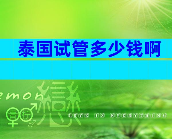 泰国试管多少钱啊