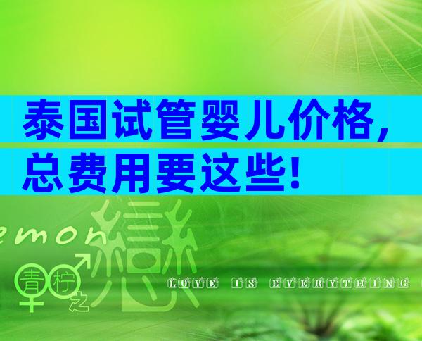 泰国试管婴儿价格,总费用要这些!