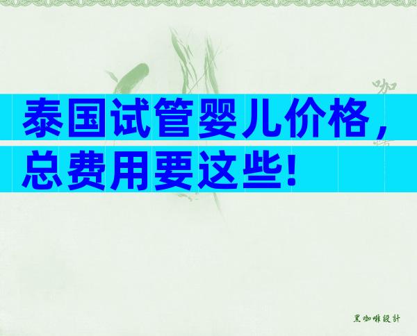 泰国试管婴儿价格，总费用要这些!