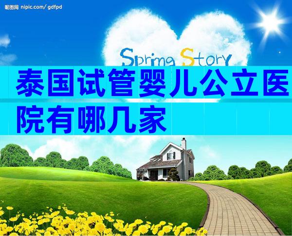 泰国试管婴儿公立医院有哪几家